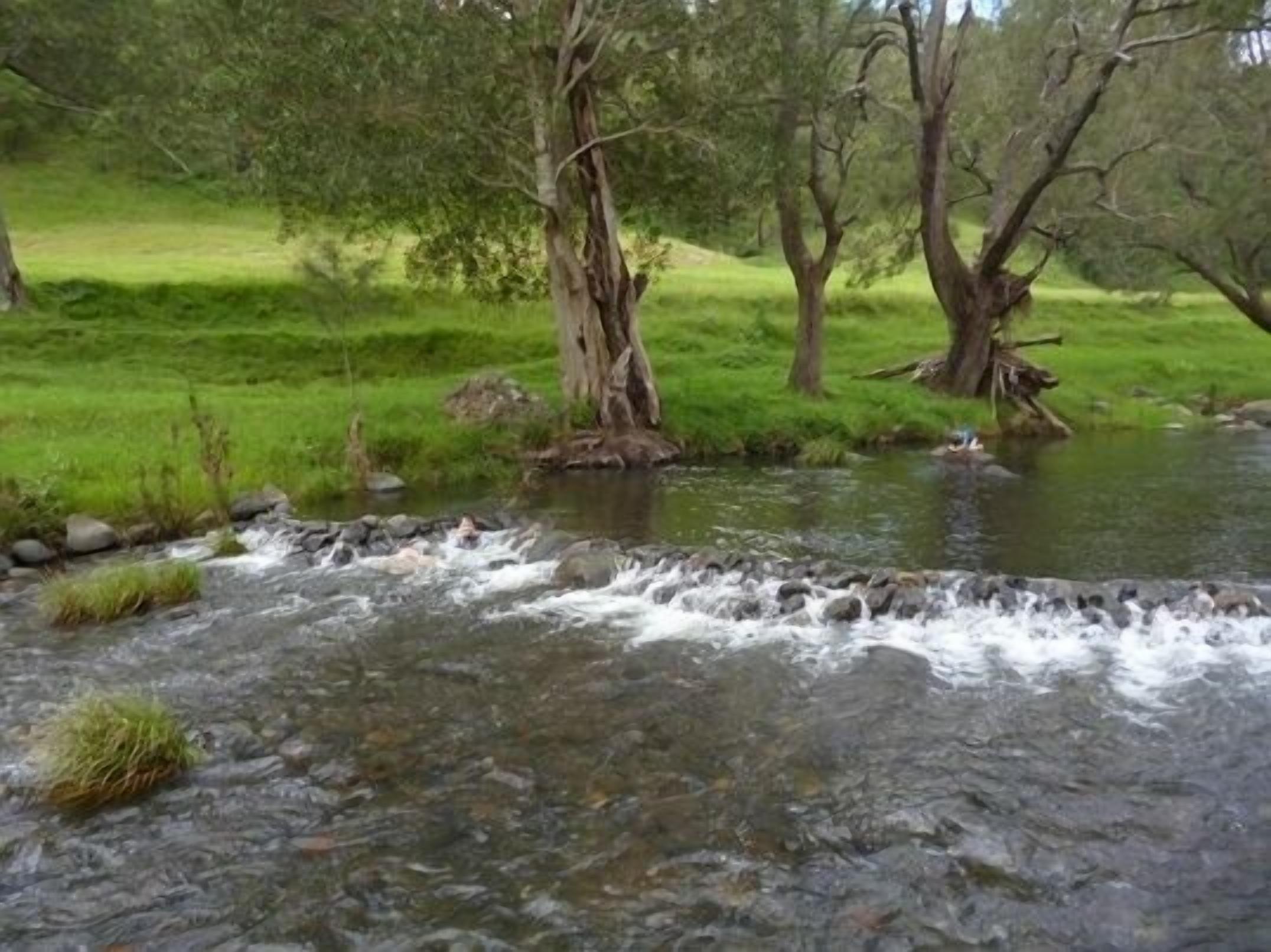 Um rio serpenteando por uma área gramada com árvores.