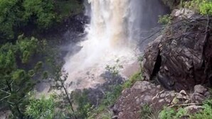 Una cascada se precipita por un risco rodeado de abundante vegetación.