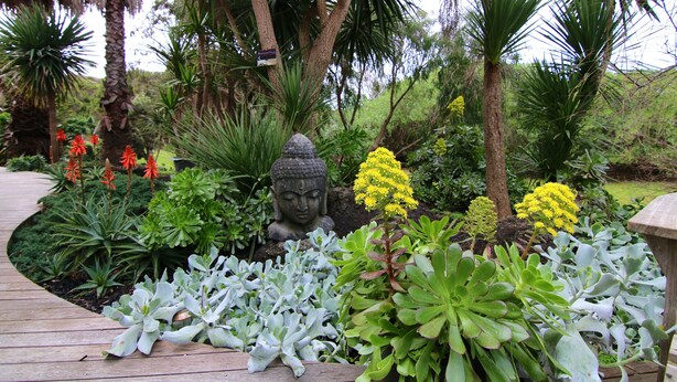 Un jardín con una estatua de Buda, diversas plantas y un sendero de madera.