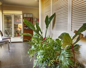 A room with a large potted plant, a refrigerator, and a shelf with various items. - Hi Way Eight Motor Inn (Stawell)
