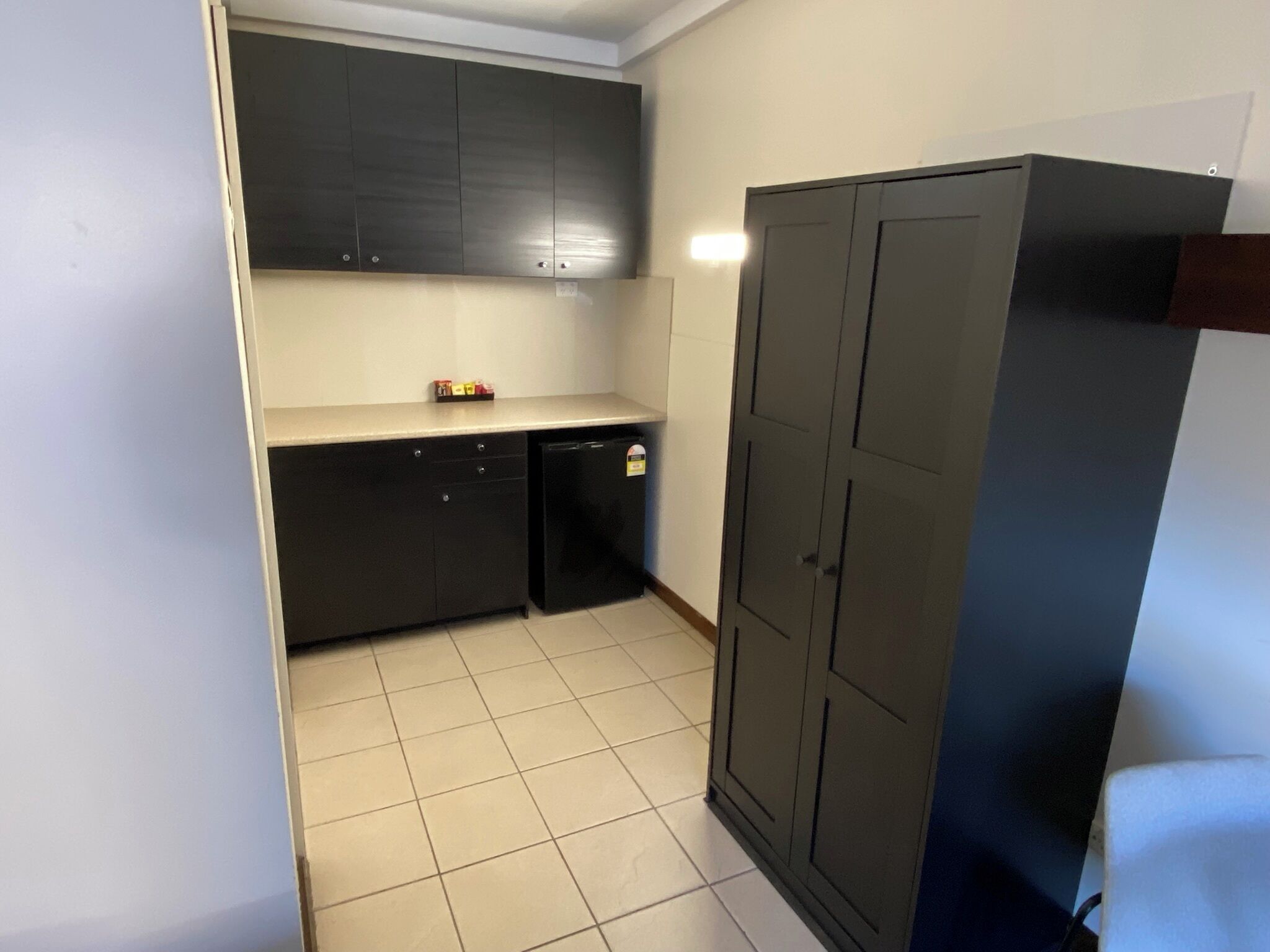 Una cocina compacta con armarios oscuros, una encimera pequeña y un lavavajillas.