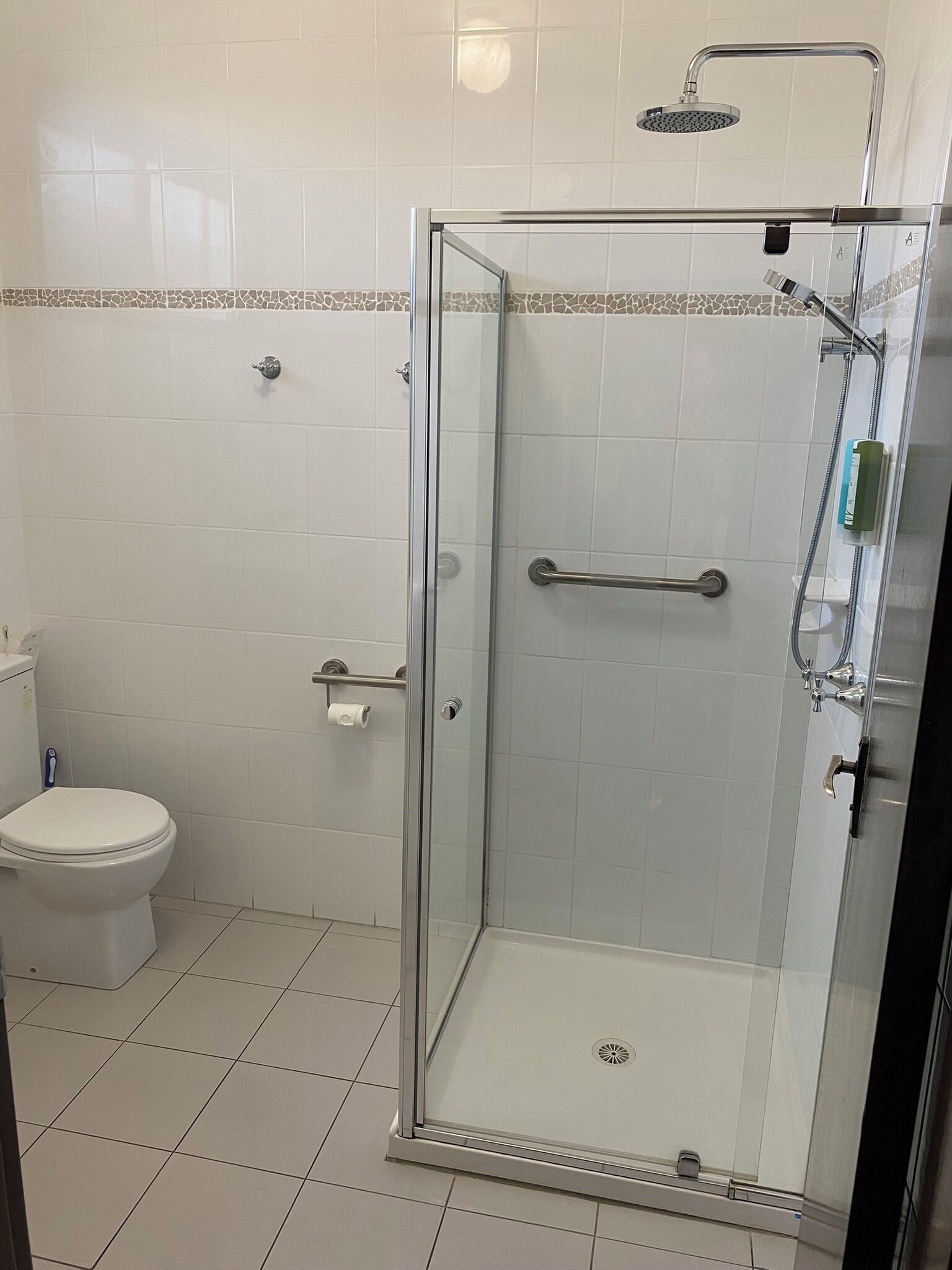 A glass-enclosed shower with a handheld showerhead, a glass door, and a handrail.