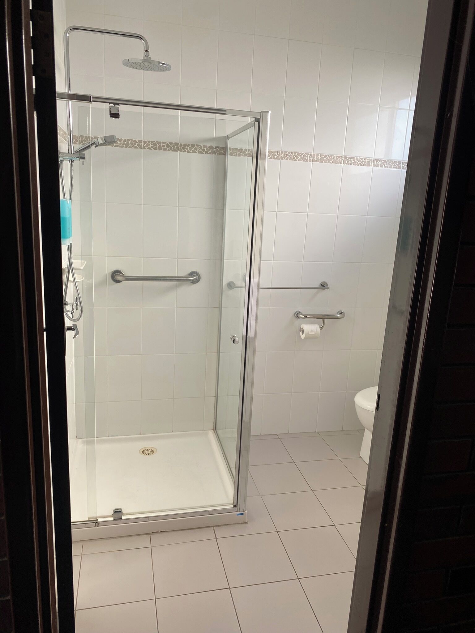 A glass-enclosed shower with a handheld showerhead and a handheld faucet.