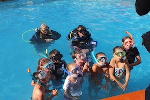 Seasonal outdoor pool, pool umbrellas, pool loungers