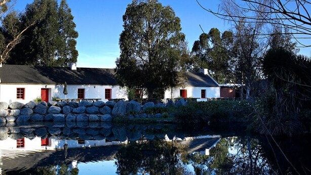 Property grounds - Donegal House (Kaikoura)