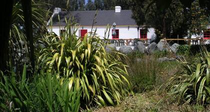 Donegal House