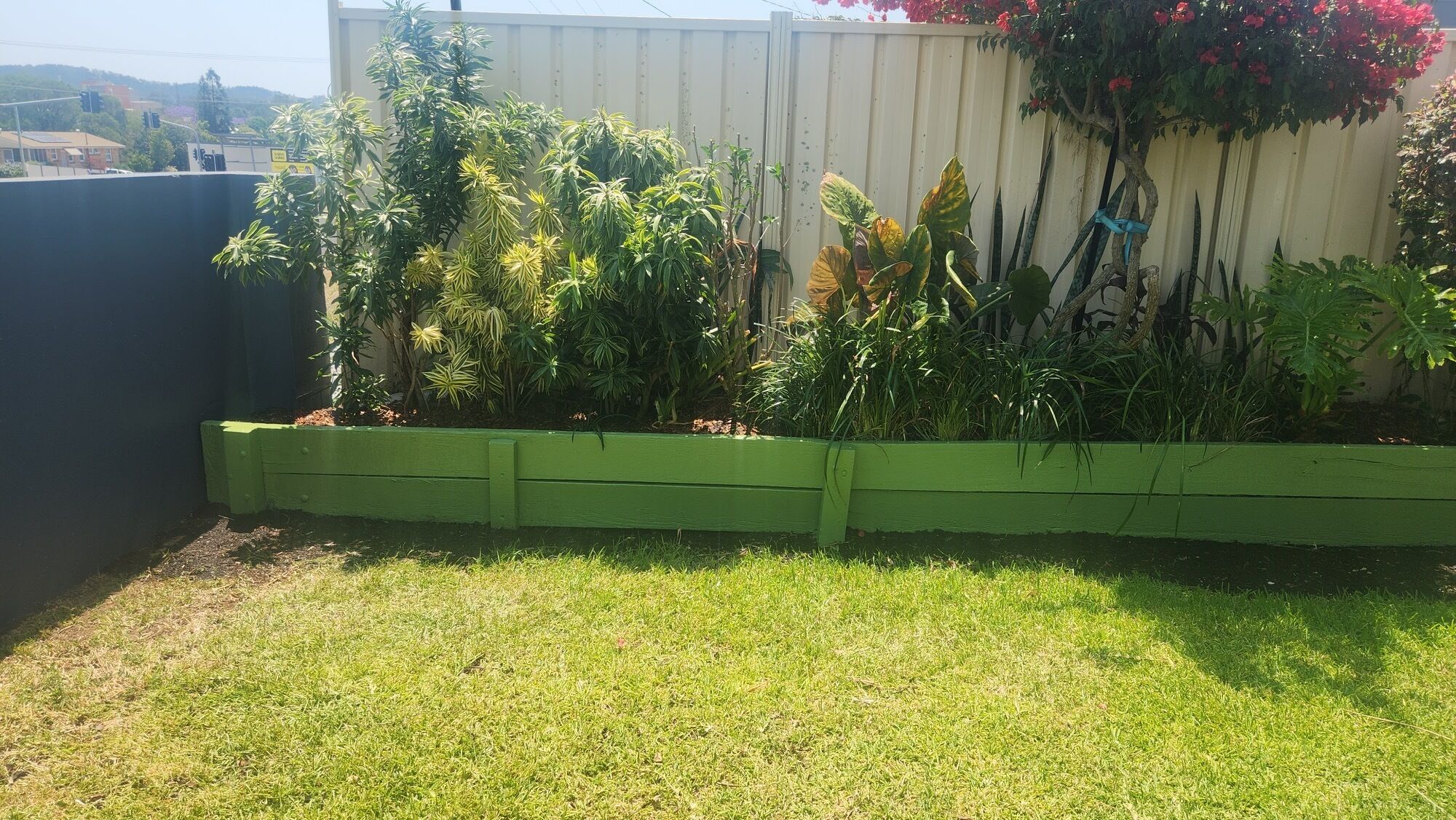 Un jardín con diversas plantas y una jardinera de madera verde.