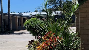 A pathway lined with various plants and a palm tree, leading to a building with a flat roof.