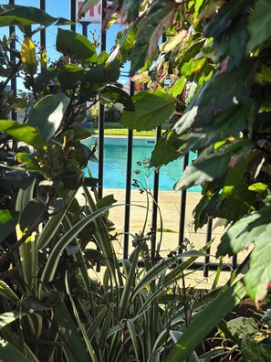 Una piscina al aire libre, sillones reclinables de piscina