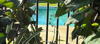 쉐이디 레스트 모텔