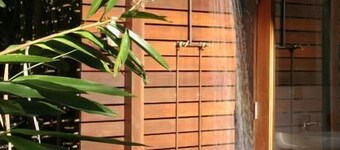 Lyola Pavilions in the Forest