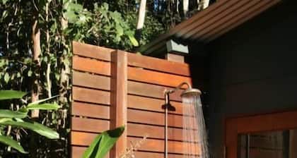 Lyola Pavilions in the Forest