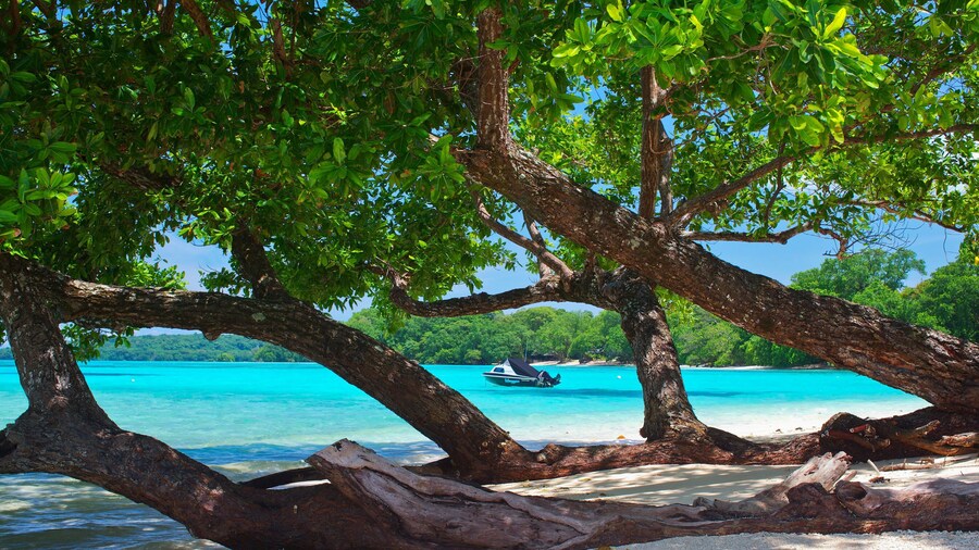 Barrier Beach Resort
