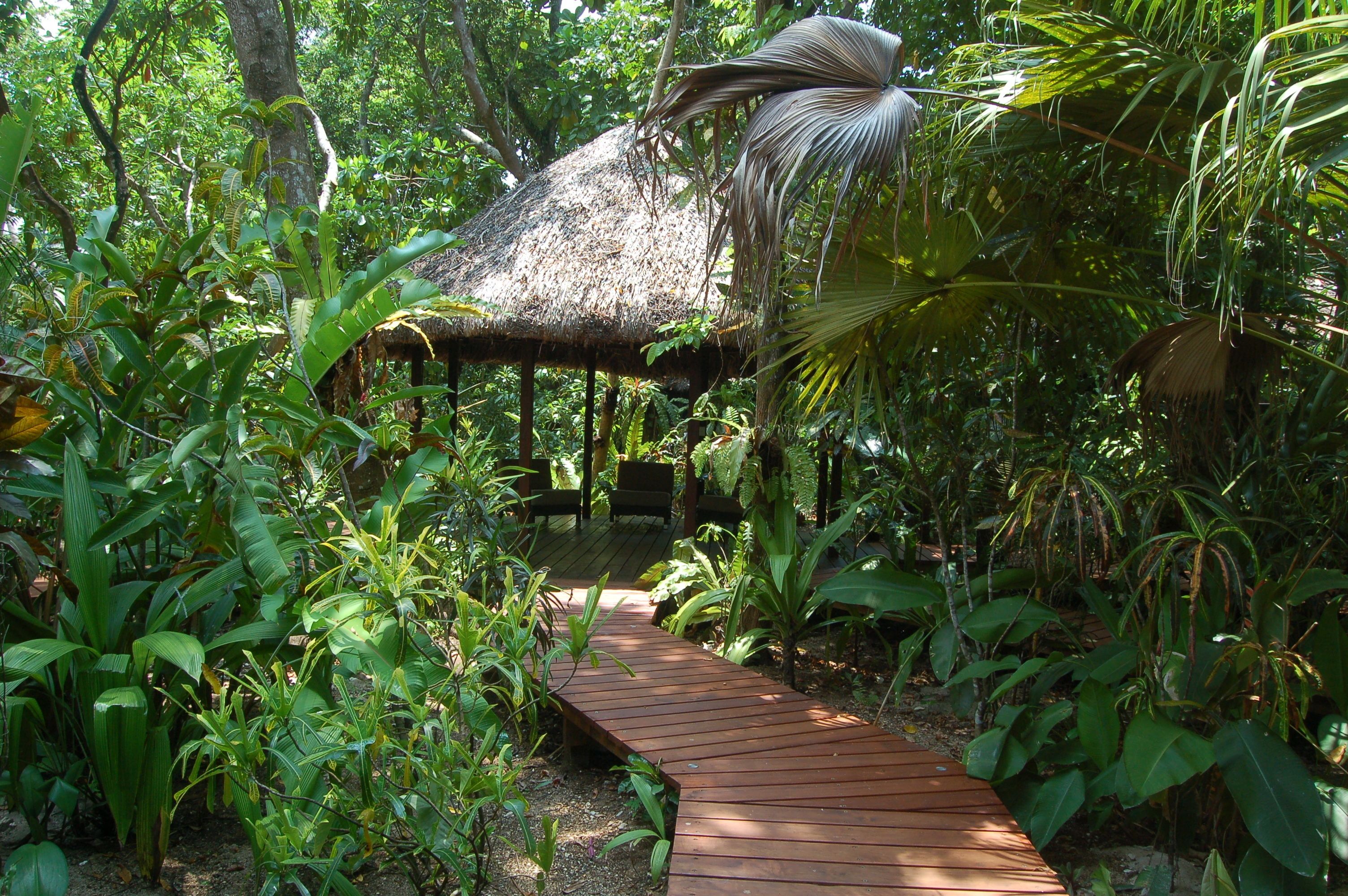 A wooden pathway leading to a thatched-roof structure surrounded by lush tropical vegetation.