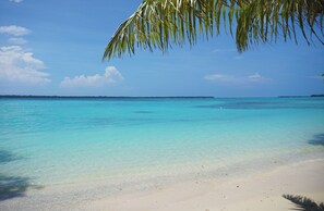 A beach with clear turquoise water, a sandy shore, and a palm tree overhead. - Barrier Beach Resort (Saraotou)