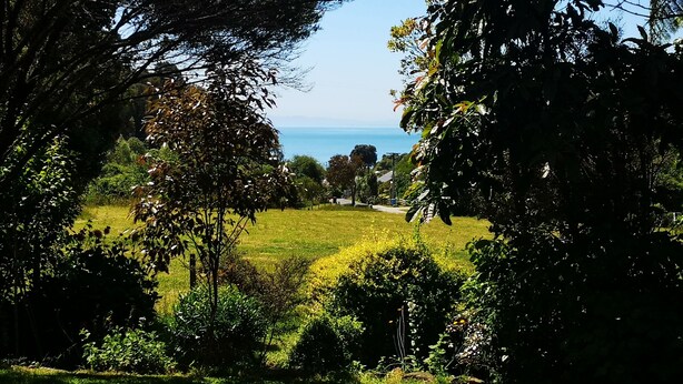 Un jardí exuberant amb vista al mar.
