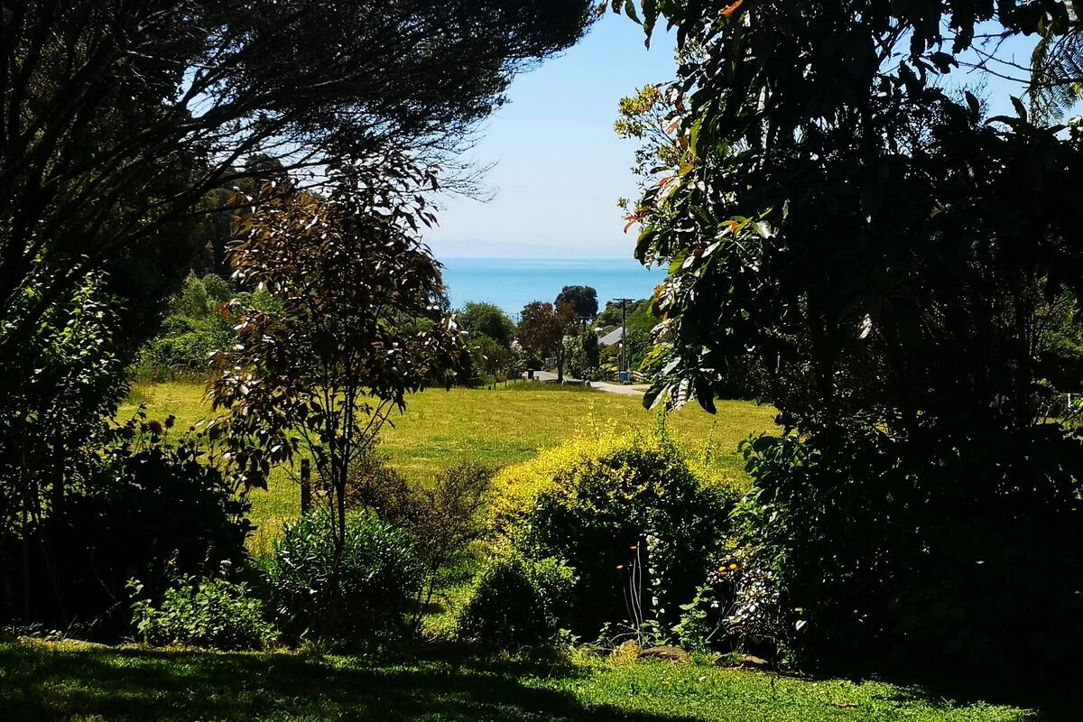 A lush garden with a view of the sea.