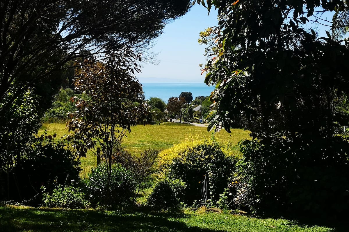 Vista al jardín