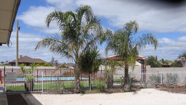 Un espacio exterior cercado con palmeras y una piscina.