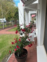 Deluxe Apartment, 2 Bedrooms, Non Smoking, Kitchen (Deluxe Unit - 2 x 1) | Terrace/patio