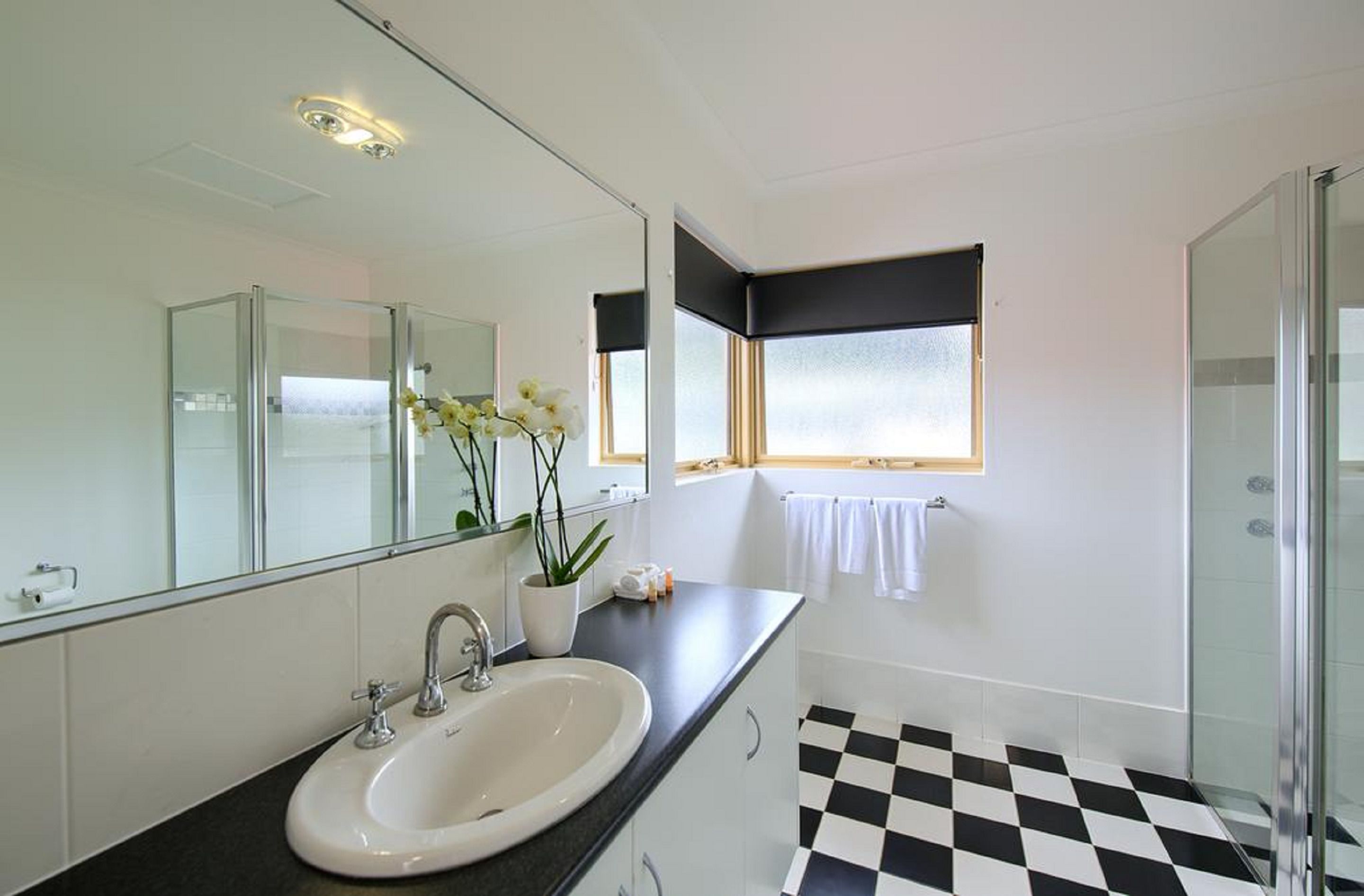 Une salle de bain moderne avec un grand miroir, un lavabo, une plante en pot et un carrelage à motifs à carreaux.