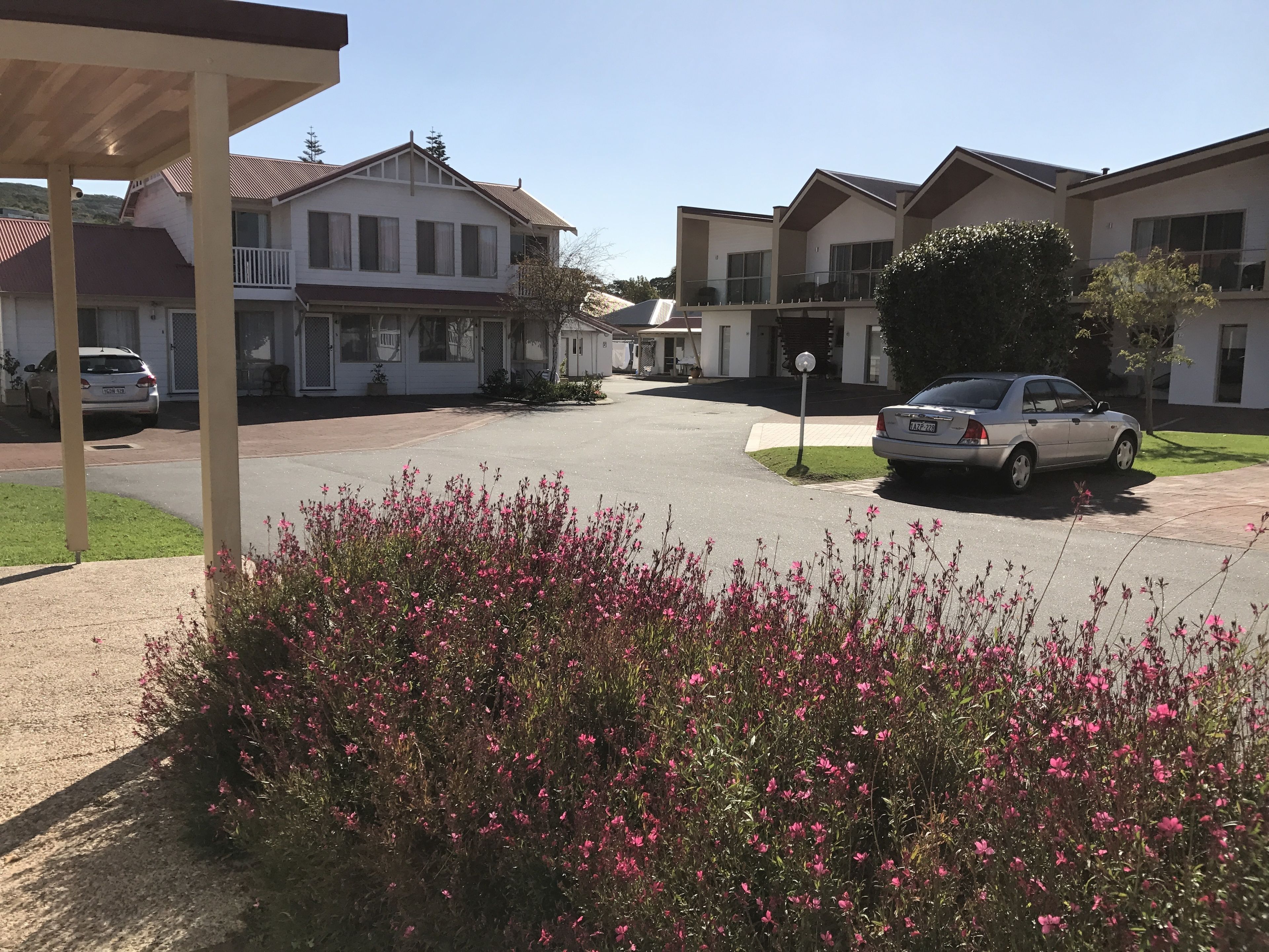 Een woonstraat met huizen, een geparkeerde auto en een tuin met roze bloemen.