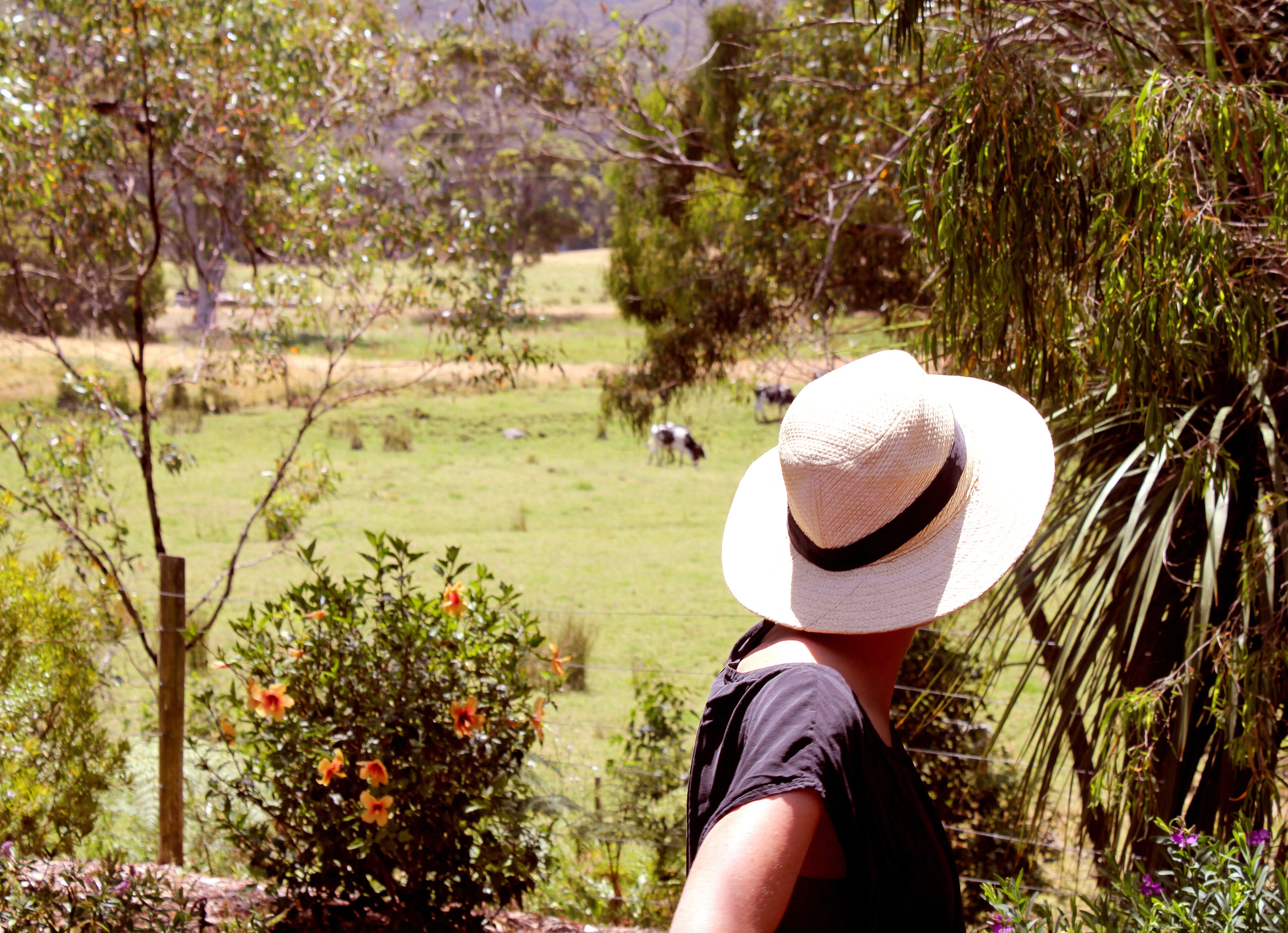 Une personne portant un chapeau, qui surplombe un paysage rural verdoyant, avec une clôture.