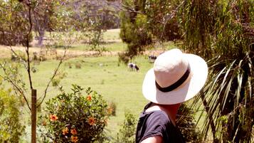 Une personne portant un chapeau, qui surplombe un paysage rural verdoyant, avec une clôture.