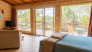 Blackout curtains, iron/ironing board, bed sheets