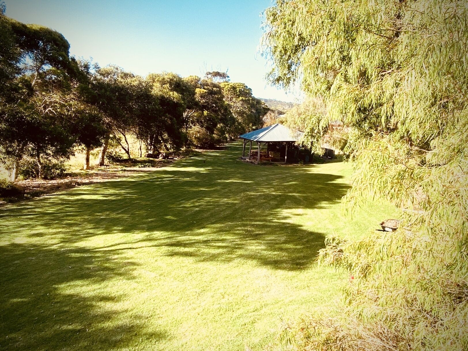 A grassy area with a gazebo and trees.