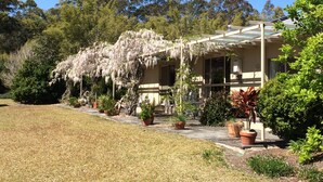A house with a covered porch, surrounded by potted plants and trees.
