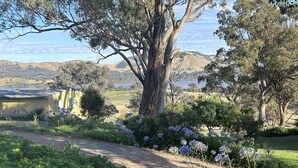 A garden with a large tree, a gravel path, and a view of hills in the background. - Burnt Creek Cottages Mansfield (Mansfield)