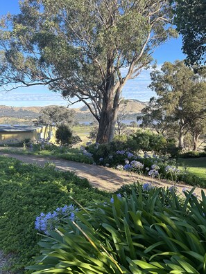 Family Cottage, 2 Bedrooms, Non Smoking, Lake View (Wattle Spa Cottage) | Lake view