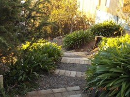 Un sendero en un jardín, bordeado de ladrillos y con diversas plantas.