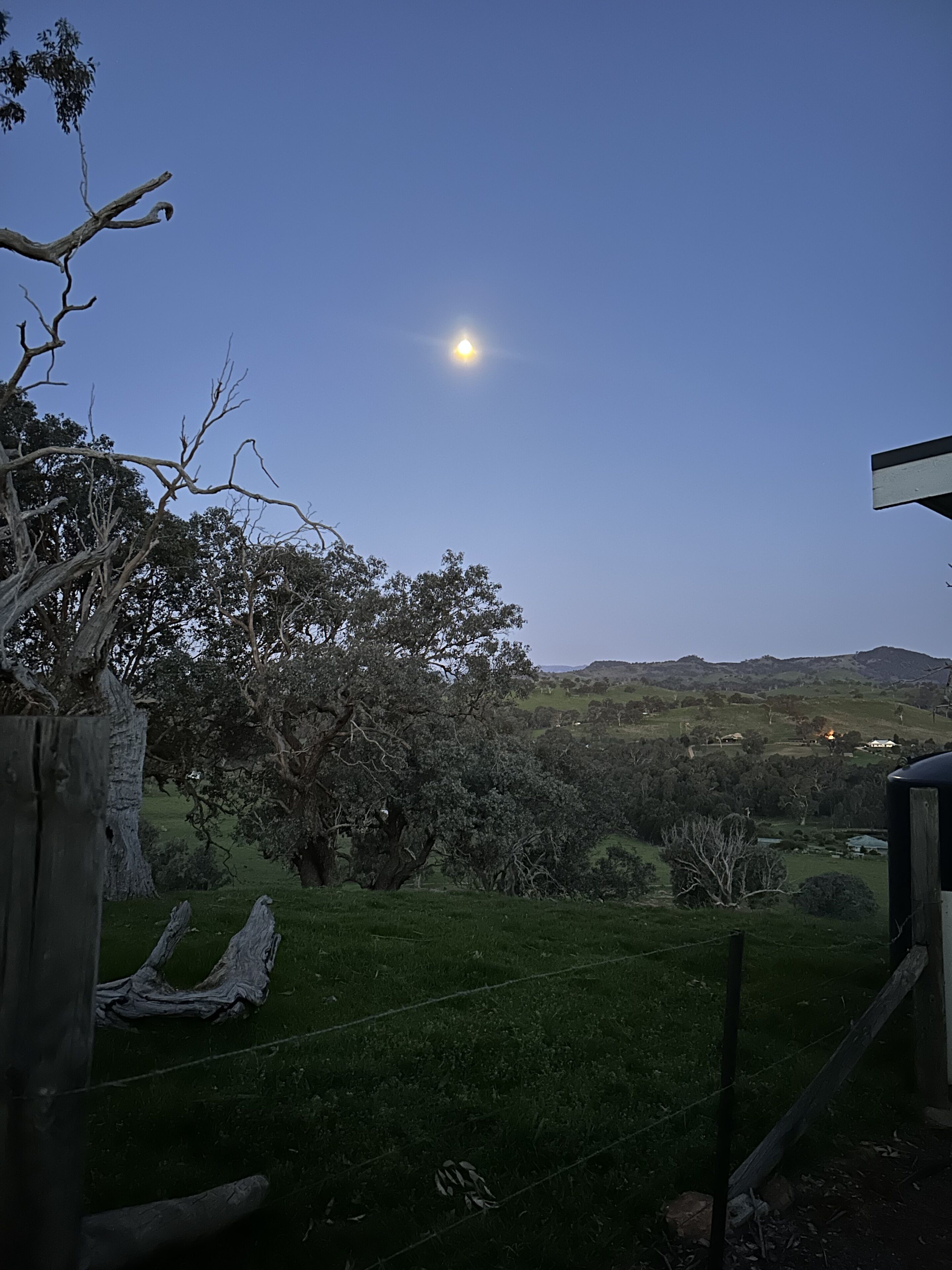 A rural landscape with a clear sky, a prominent tree, and a distant hill.