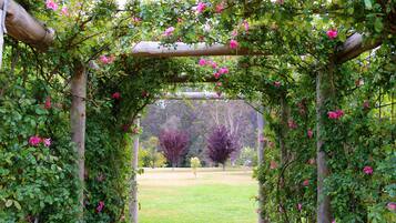 An arched wooden pergola covered with climbing roses and greenery, leading to a grassy area.