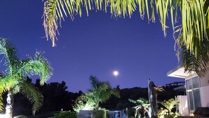 Escena nocturna con luna visible, palmeras y un edificio con ventanas iluminadas.