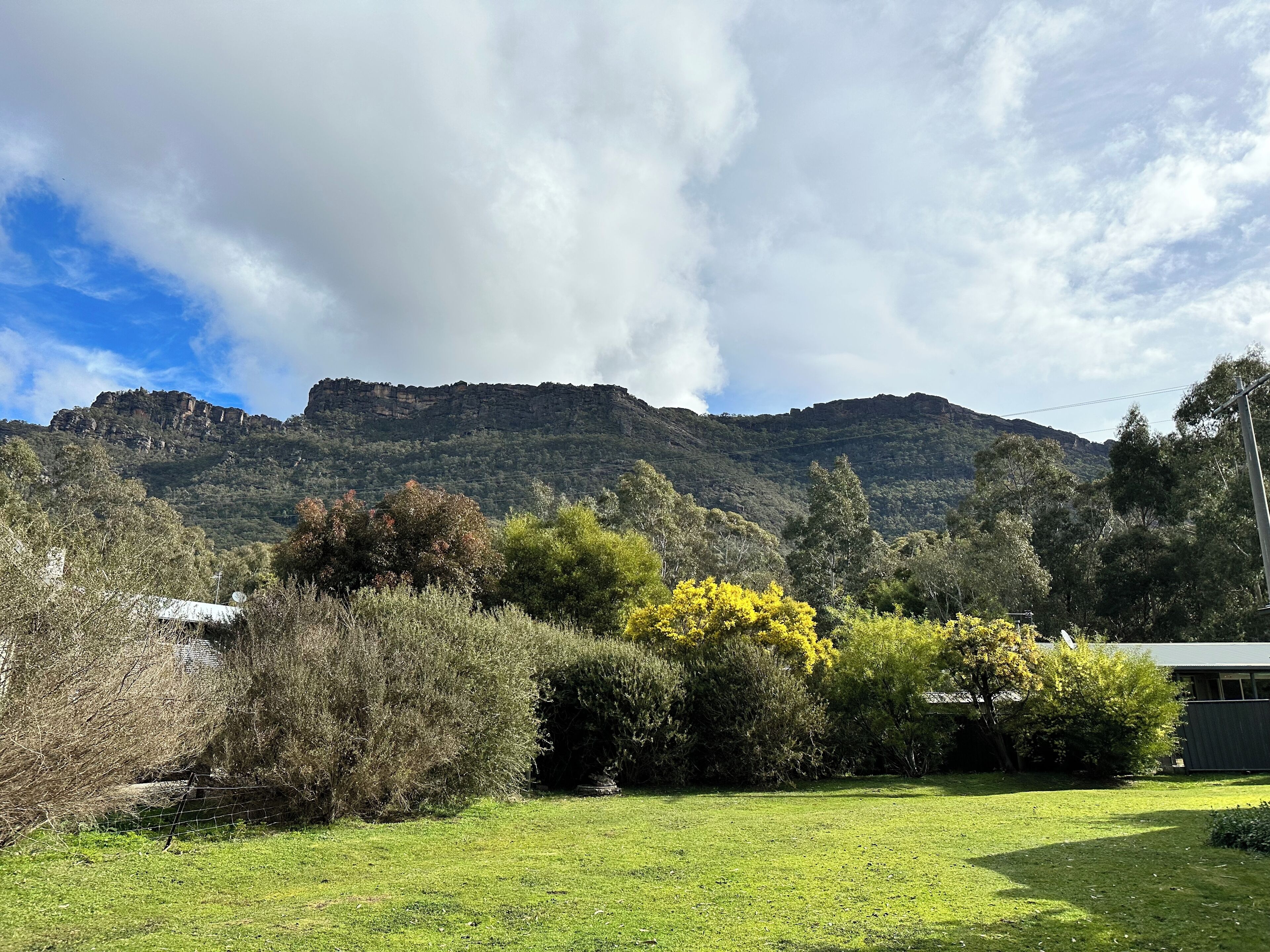 A grassy area with a mountain in the background.