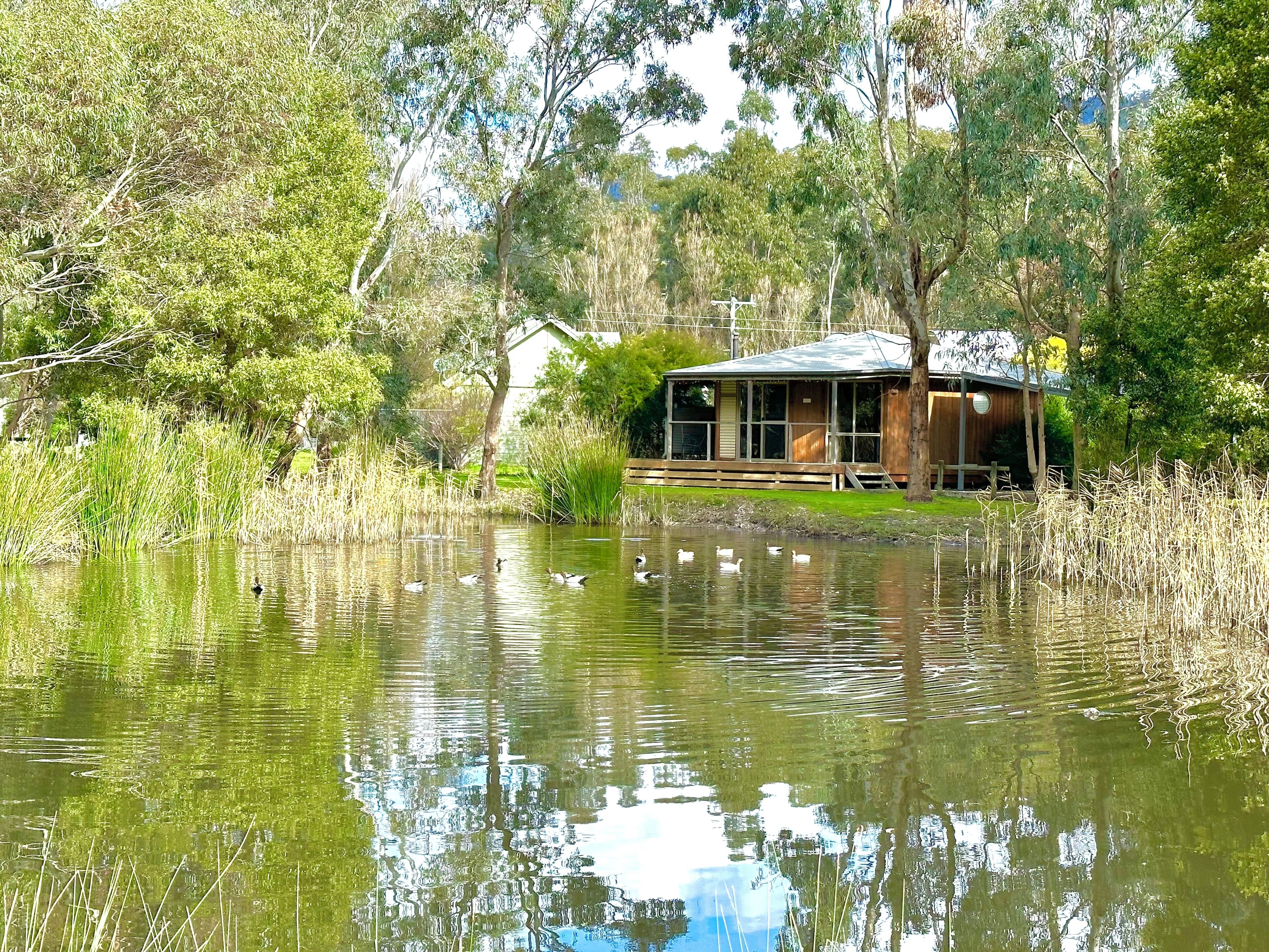 A lakeside cabin with a dock, surrounded by tall grasses and trees.