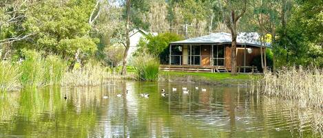 A lakeside cabin with a dock, surrounded by tall grasses and trees.