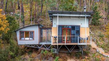 30-inch flat-screen TV with digital channels, fireplace, DVD player