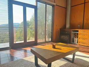 Televisión de pantalla plana, chimenea, reproductor de DVD