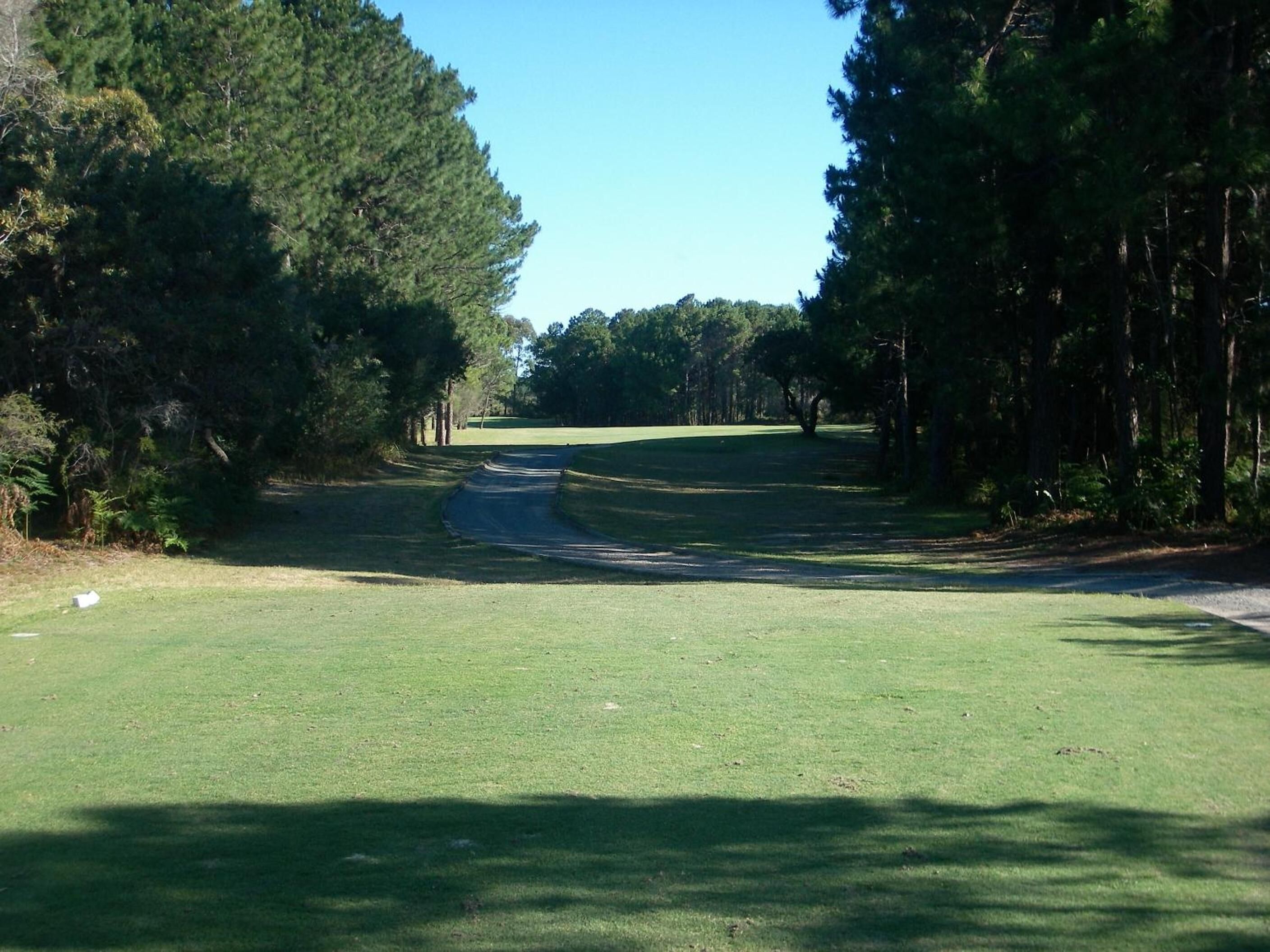 A golf course with a clear path, surrounded by dense trees and a clear sky.
