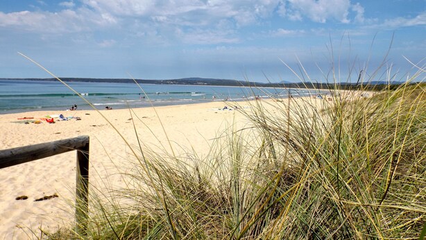 Une plage avec un rivage sablonneux, des dunes herbeuses et un ciel dégagé.