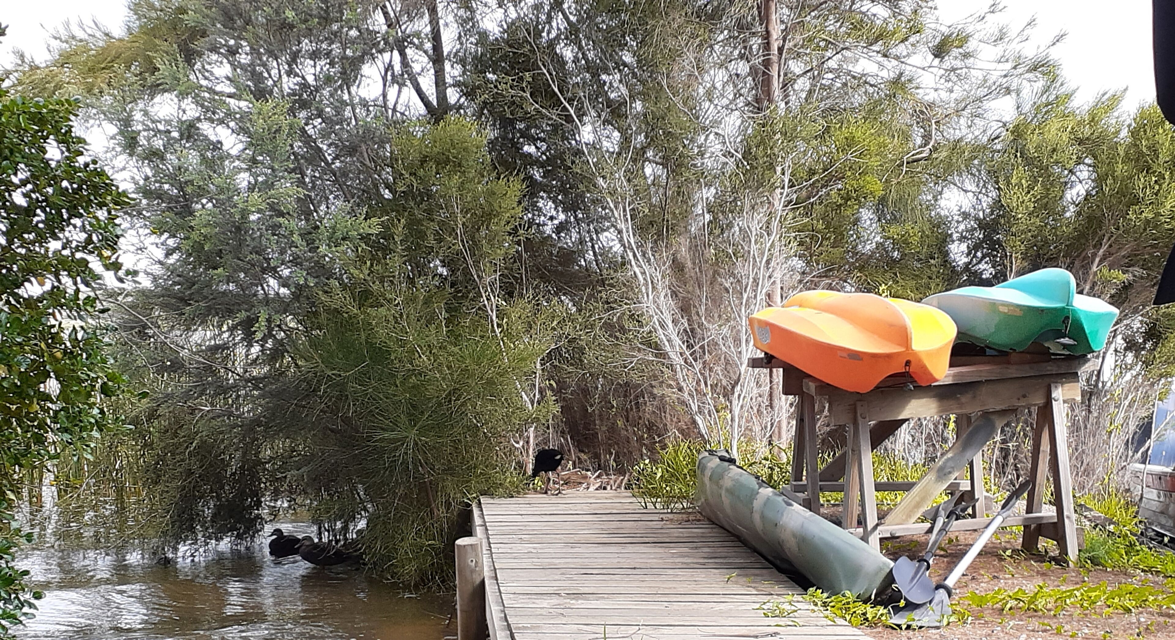 Un muelle de madera que se adentra en una masa de agua, rodeado de árboles y vegetación.