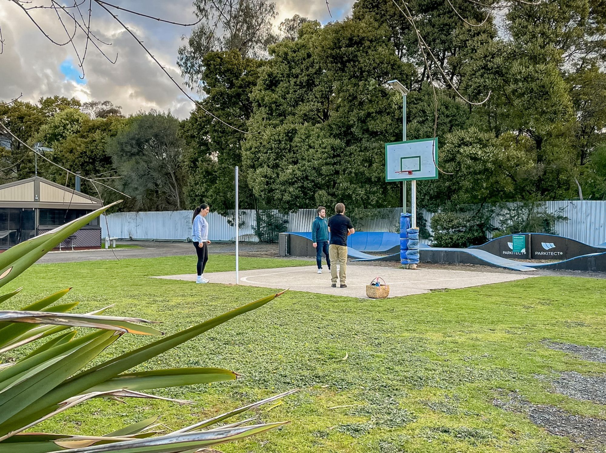 Una cancha de baloncesto al aire libre con aro, rodeada de árboles y una zona vallada.
