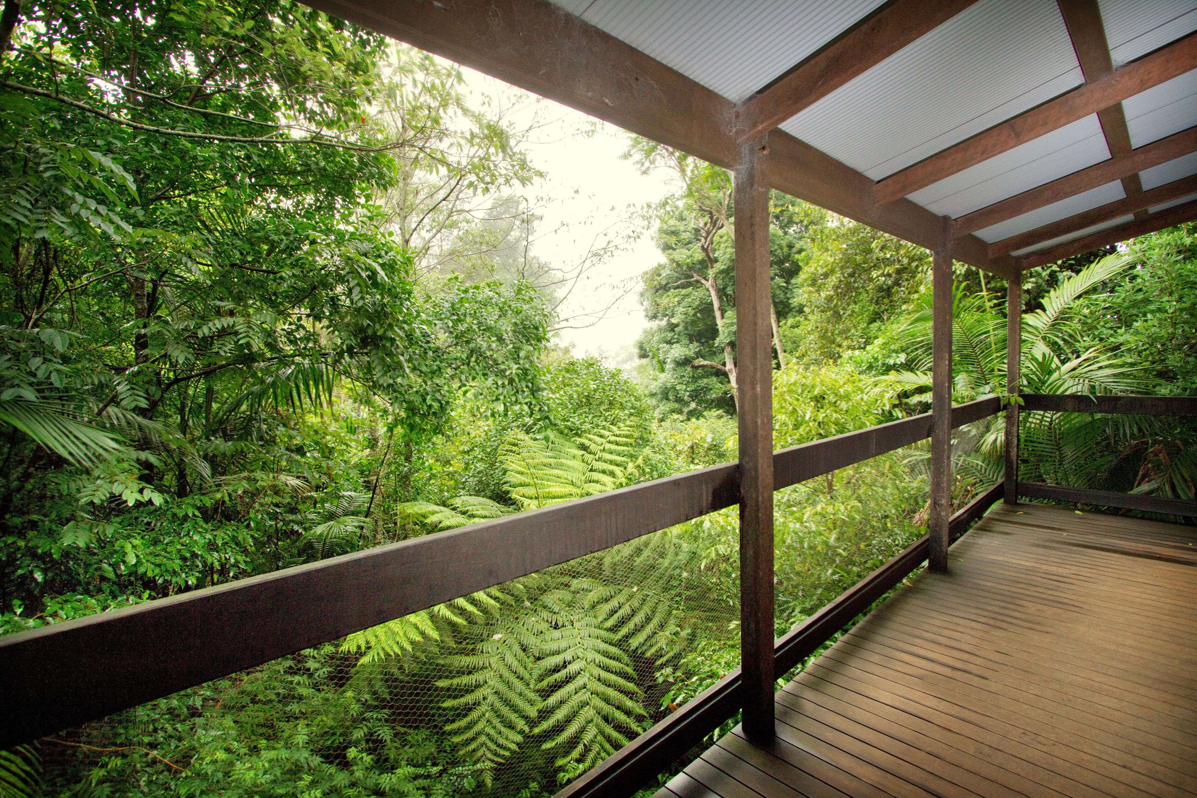 A wooden deck with a metal railing overlooking a dense, green forest.
