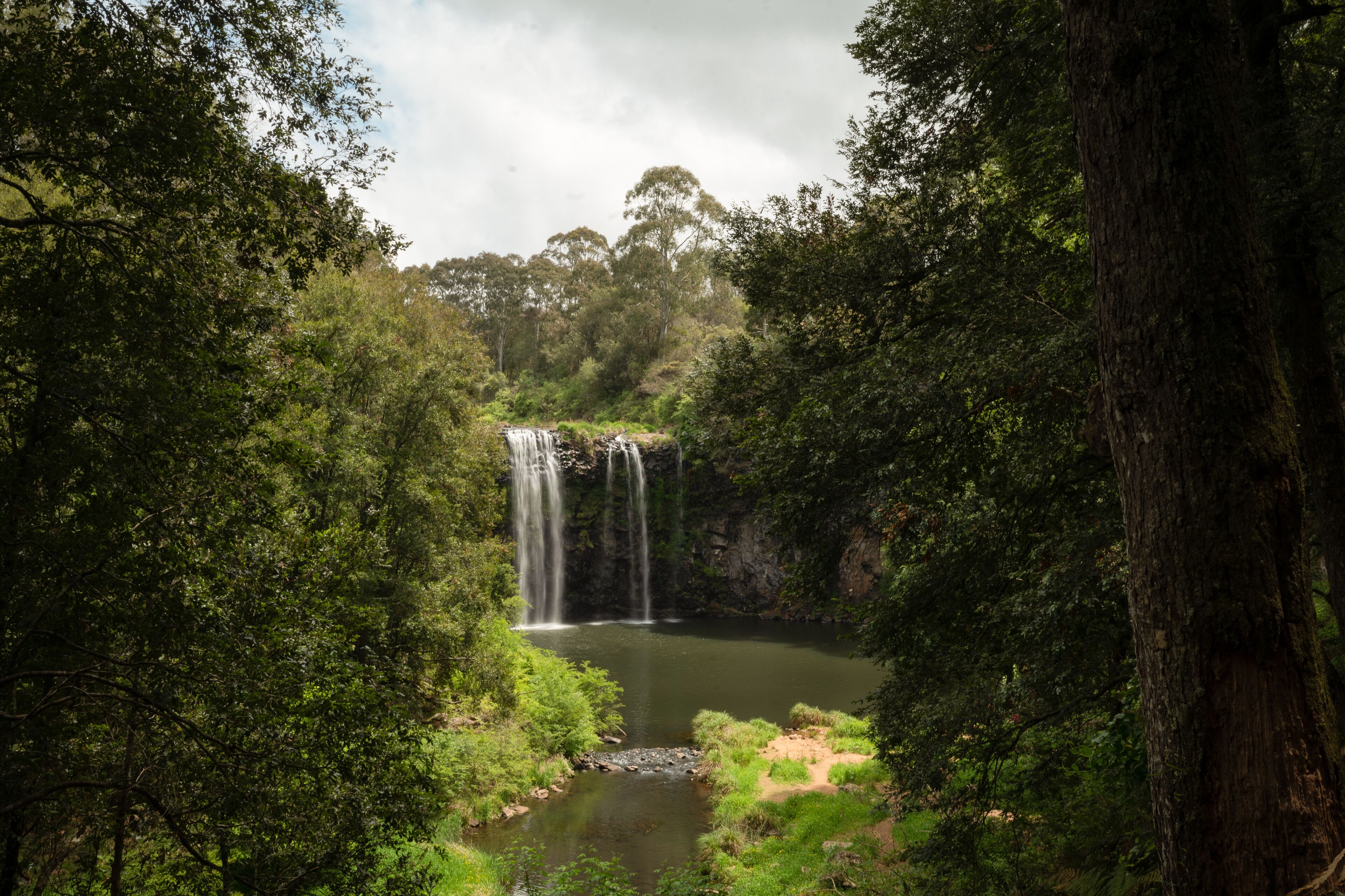 Una cascada rodeada de un bosque denso.