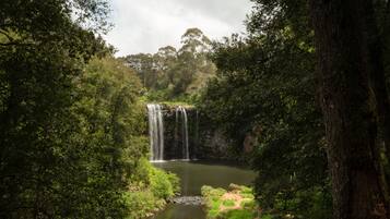Una cascada rodeada de un bosque denso.