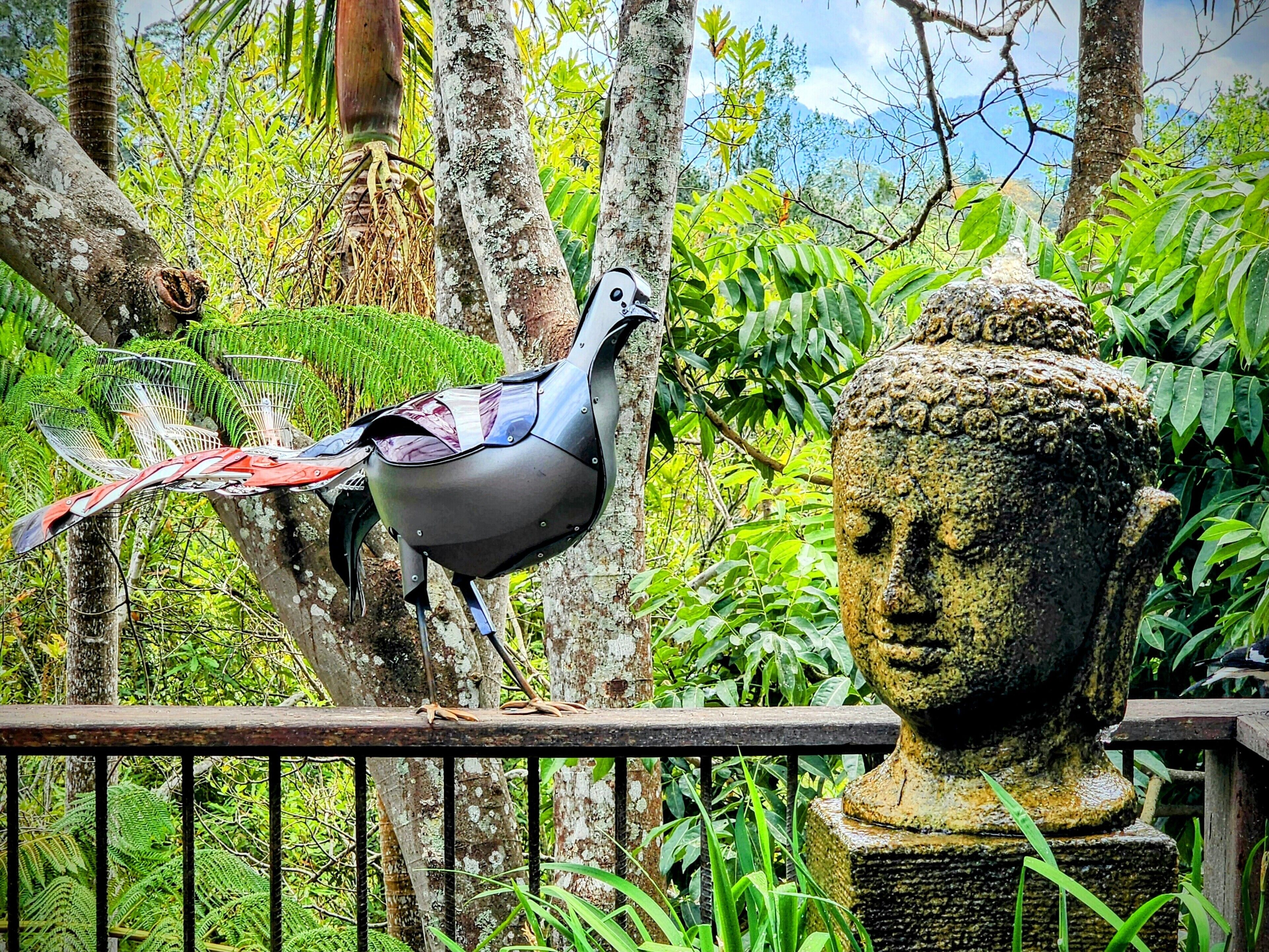 Un pájaro posado sobre una barandilla metálica, rodeado de vegetación exuberante y una estatua de Buda de piedra.